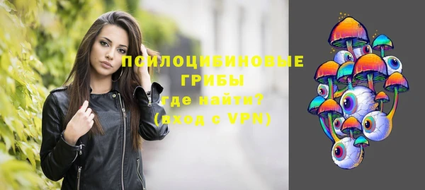 стаф Сосновый Бор